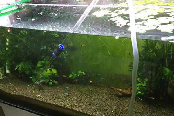 养鱼换水方法